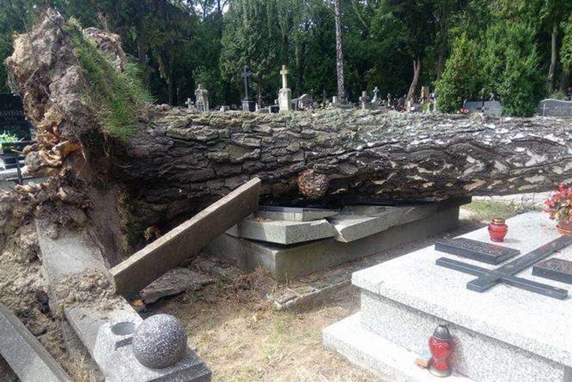 Olbrzymie zniszczenia na cmentarzu przy ulicy Lipowej. To efekt nawałnicy Olbrzymie zniszczenia na cmentarzu przy ulicy Lipowej. To efekt nawałnicy