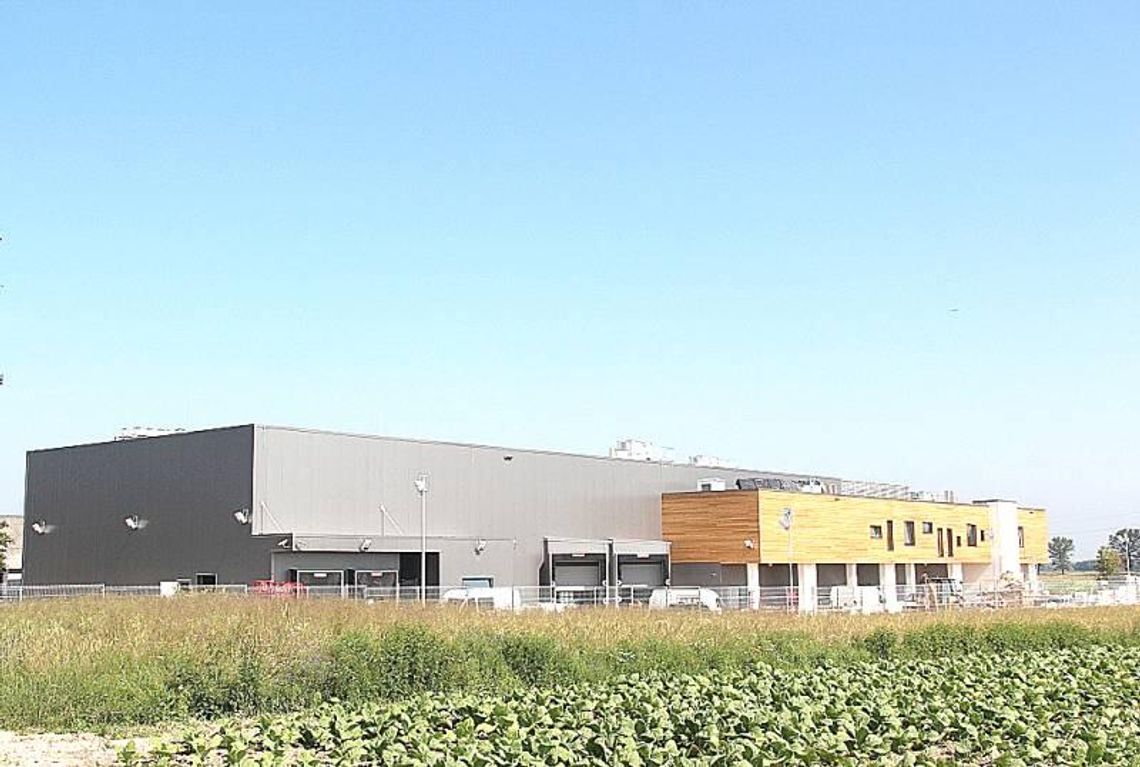 Olchowiec: Polskie Jagody z sortownią za 9 mln zł