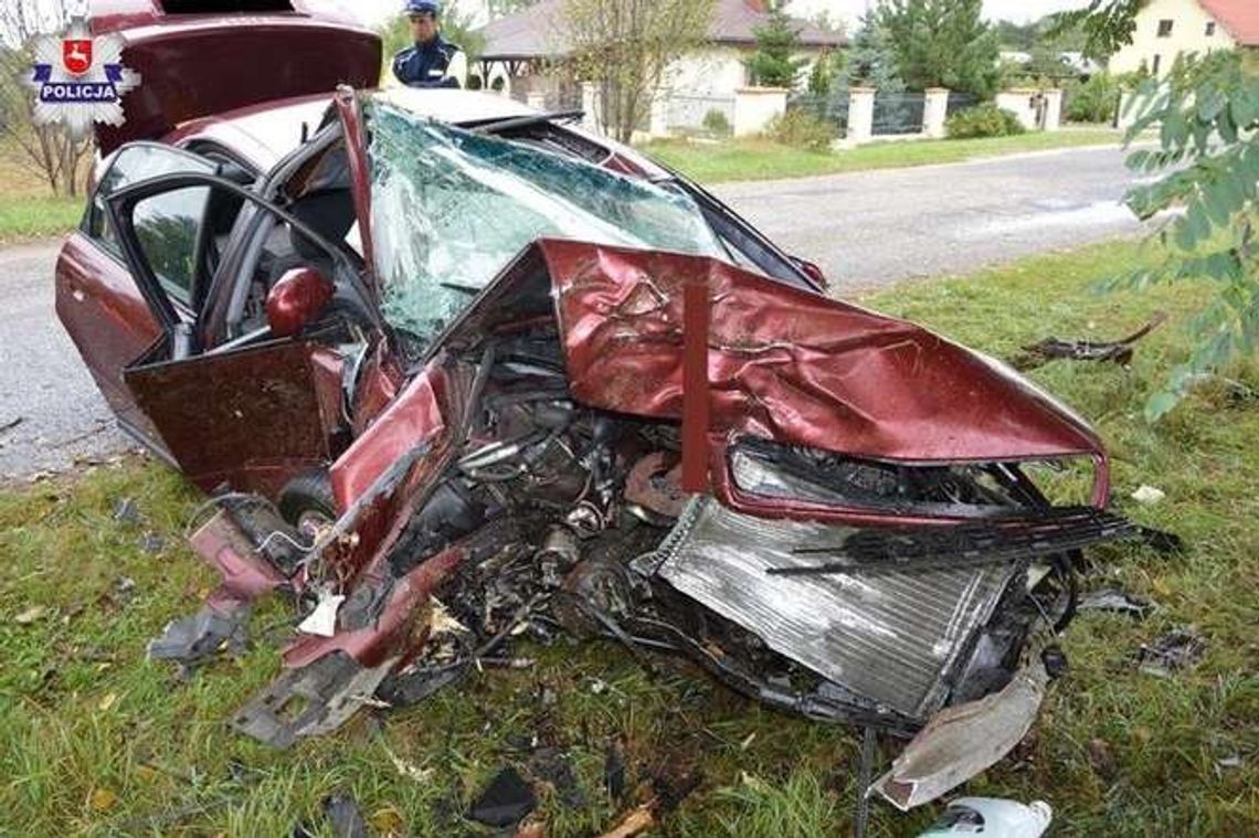 Omijała jeża, uderzyła w drzewo i dachowała (zdjęcia) Omijała jeża, uderzyła w drzewo i dachowała (zdjęcia)