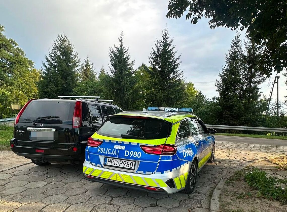 Ominęła kotka, alkomatu już nie Ominęła kotka, alkomatu już nie