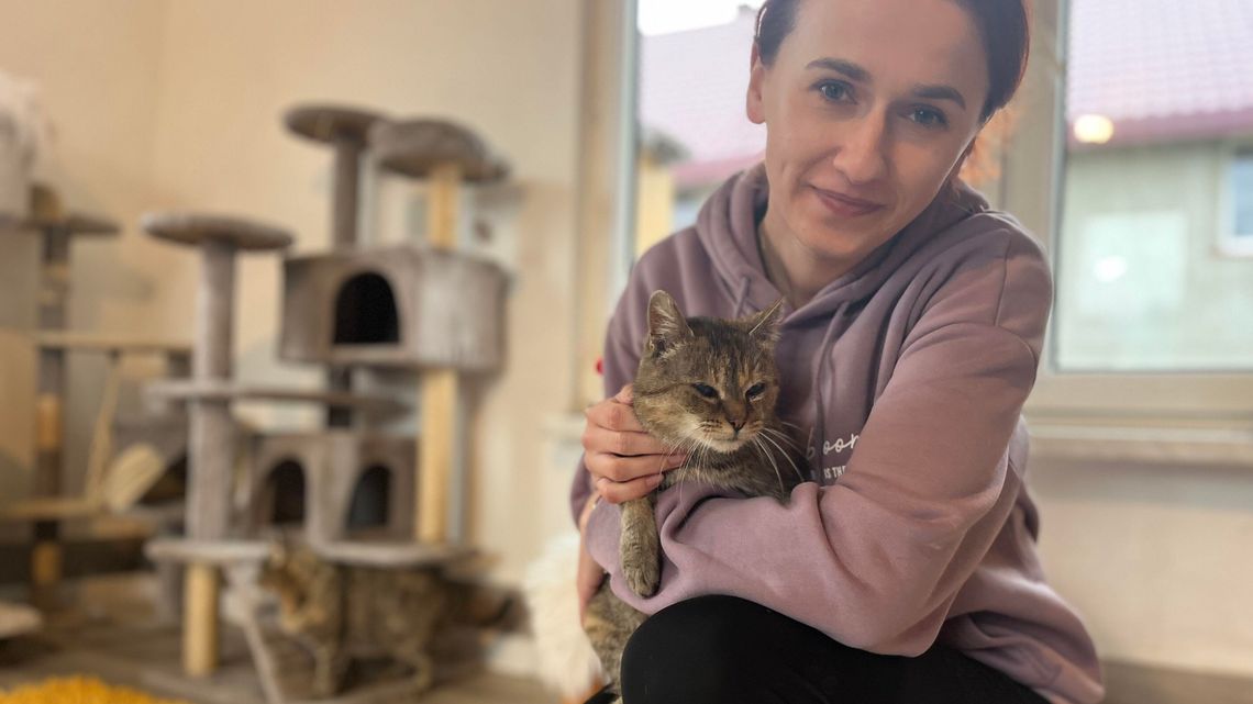 Ona po prostu kocha zwierzęta. Stworzyła kociarnię w domku po dziadkach
