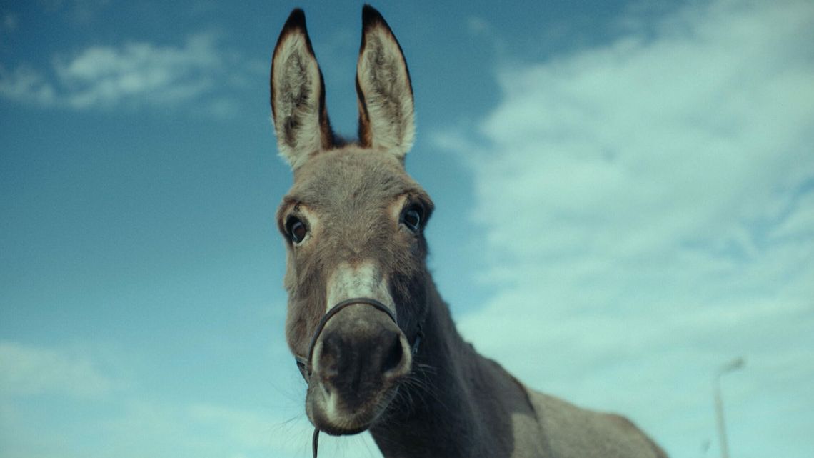 "Opiekun" i "IO" w Kinie w Bramie