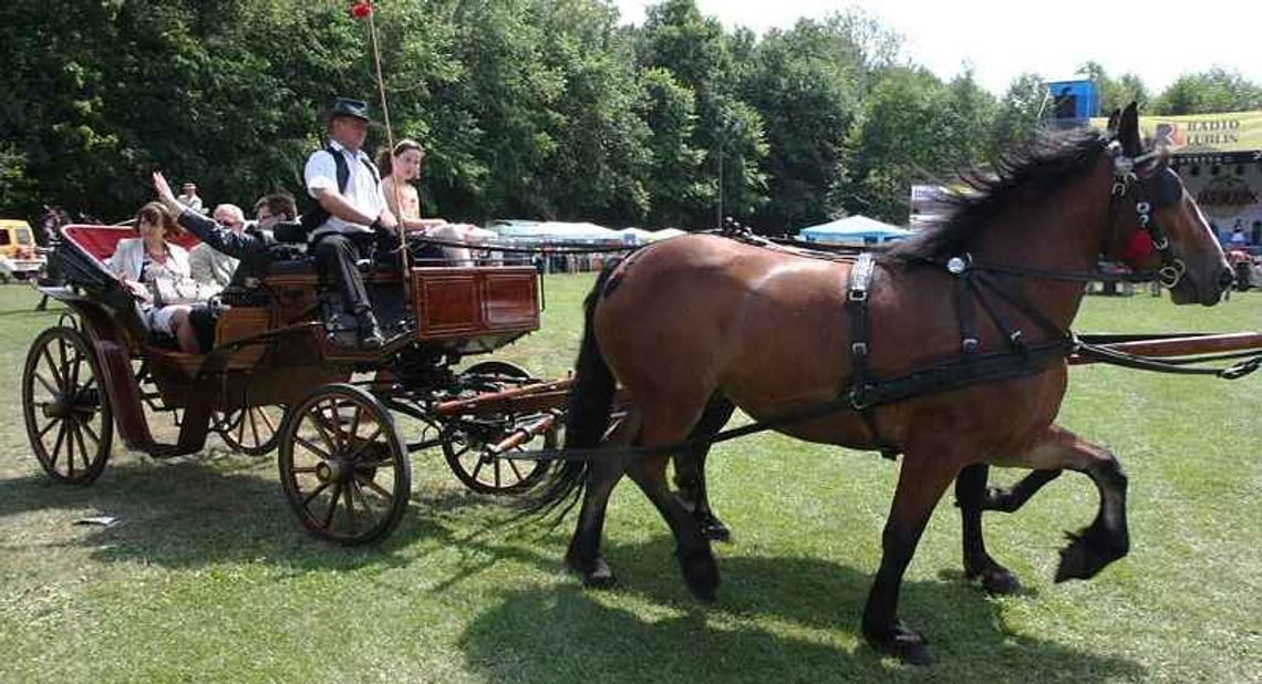 Opole Lubelskie: Będą nowe alejki, plac zabaw, siłownia