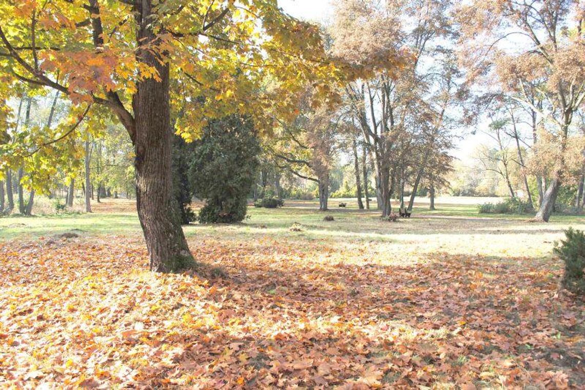 Opole Lubelskie: Jeszcze w tym roku będzie jak w Central Parku