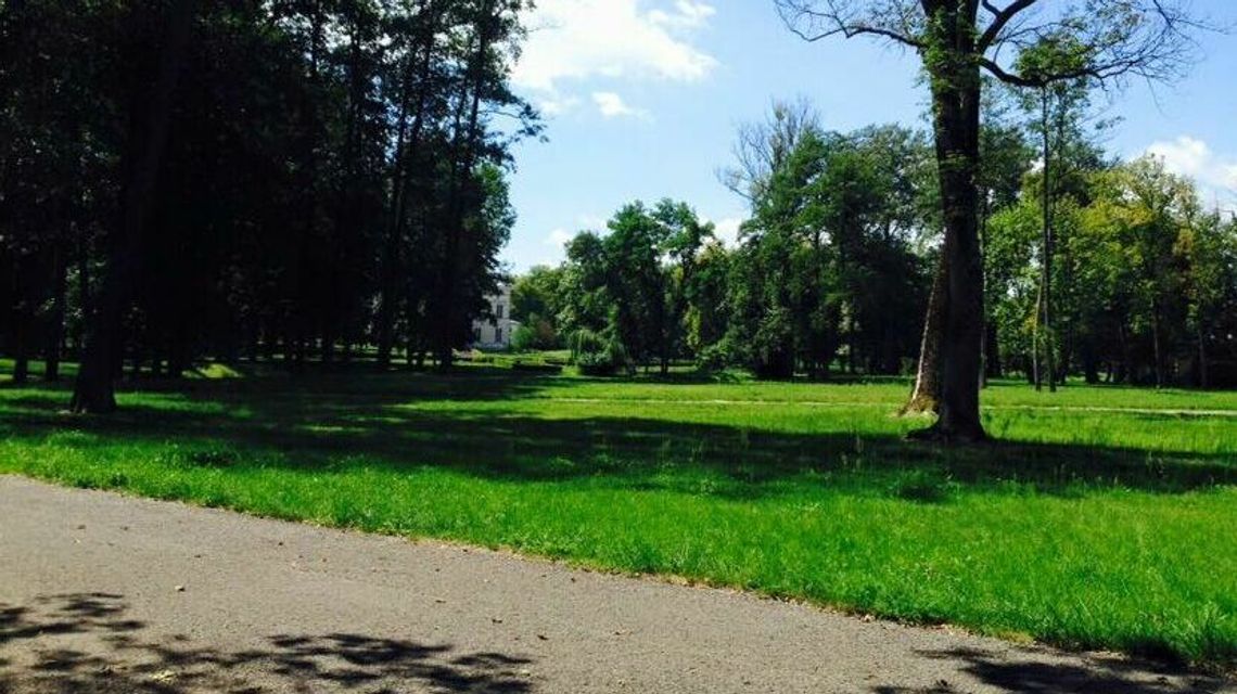 Opole Lubelskie. Nie dla spopielarni zwierzęcych zwłok