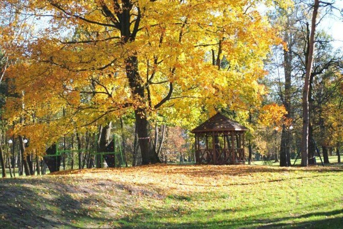Opole Lubelskie. Park już po remoncie, ale ciągle zamknięty. Bo nie ma kamer Opole Lubelskie. Park już po remoncie, ale ciągle zamknięty. Bo nie ma kamer