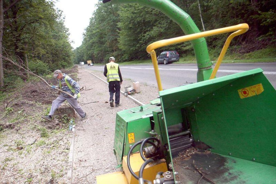 Opóźni się budowa nowej trasy rowerowej w lesie Dąbrowa