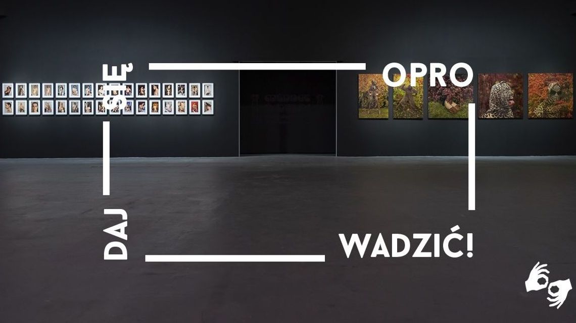 Oprowadzanie po wystawach w Galerii Labirynt