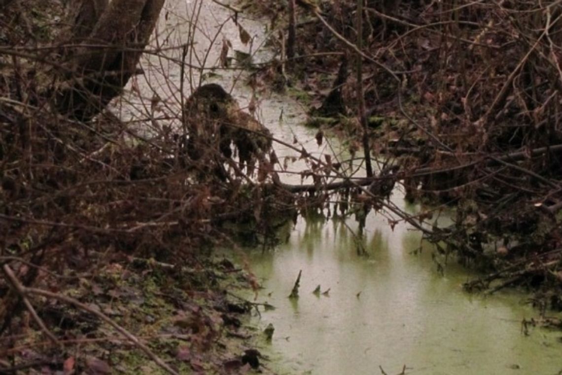 Orchówek: Chemiczny ściek trafia do Bugu