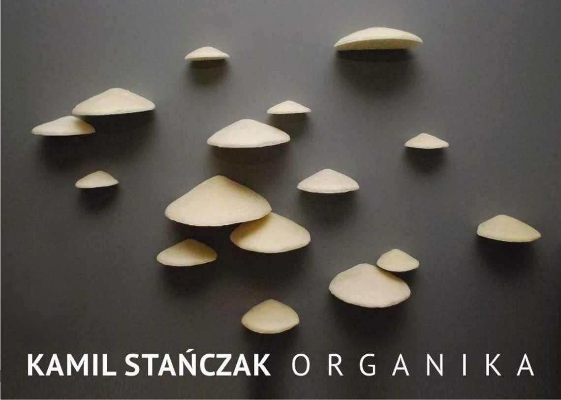 "Organika" Kamila Stańczaka w Galerii Białej