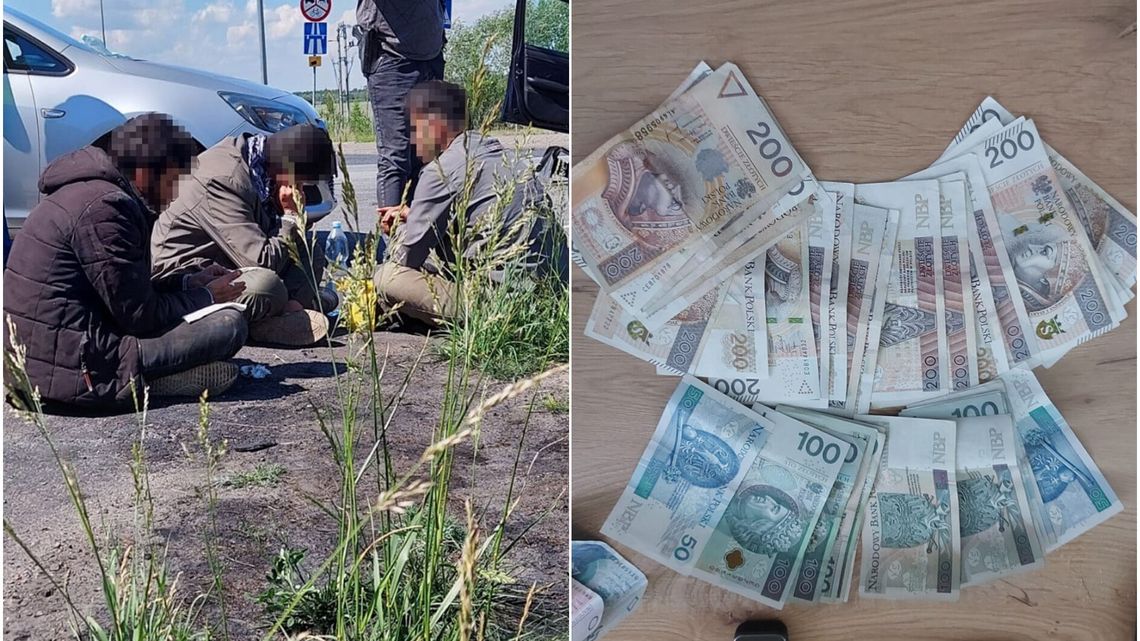 Organizowali nielegalne transporty migrantów