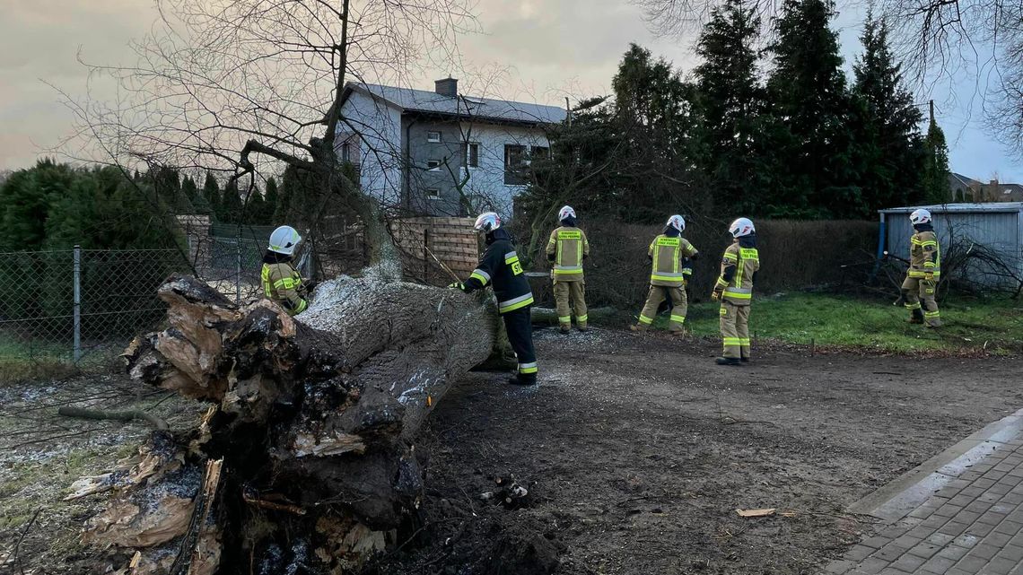 Orkan Pia szaleje nad Polską. Silny wiatr postawił na nogi strażaków 