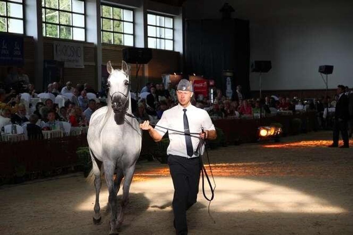 Orlen i PKO BP sponsorami aukcji Pride of Poland w Janowie Podlaskim