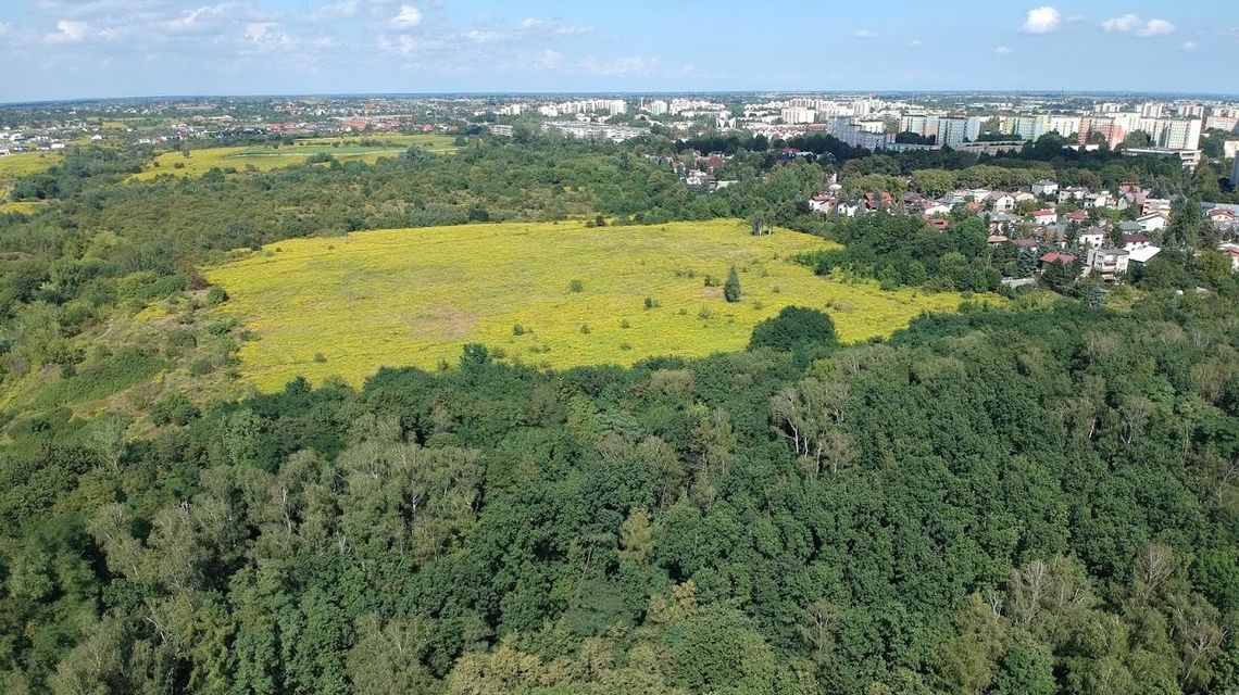 Orzeczenie sądu w sprawie górek czechowskich nie kończy sporu. Czy powstaną tam bloki?
