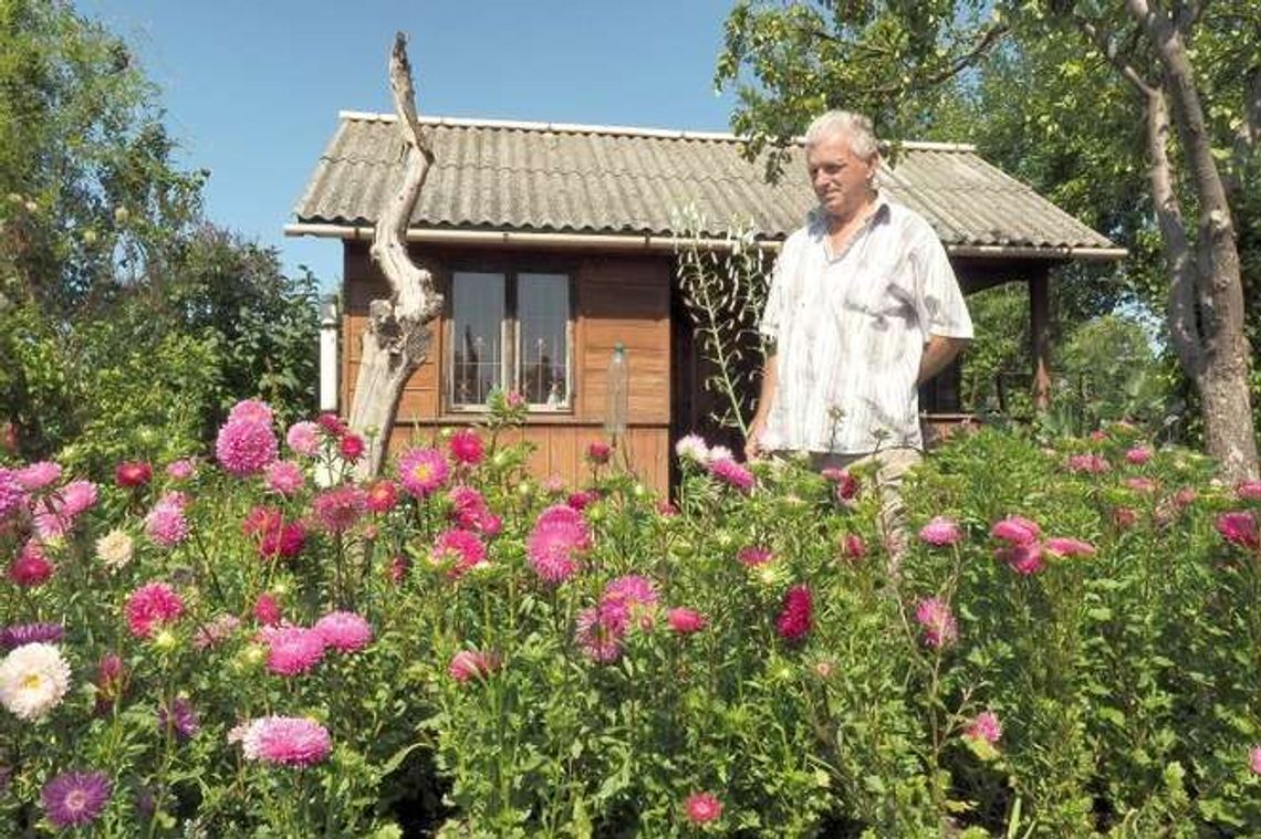 Osobiste miejsce w mieście. Rodzinne ogrody działkowe (zdjęcia)