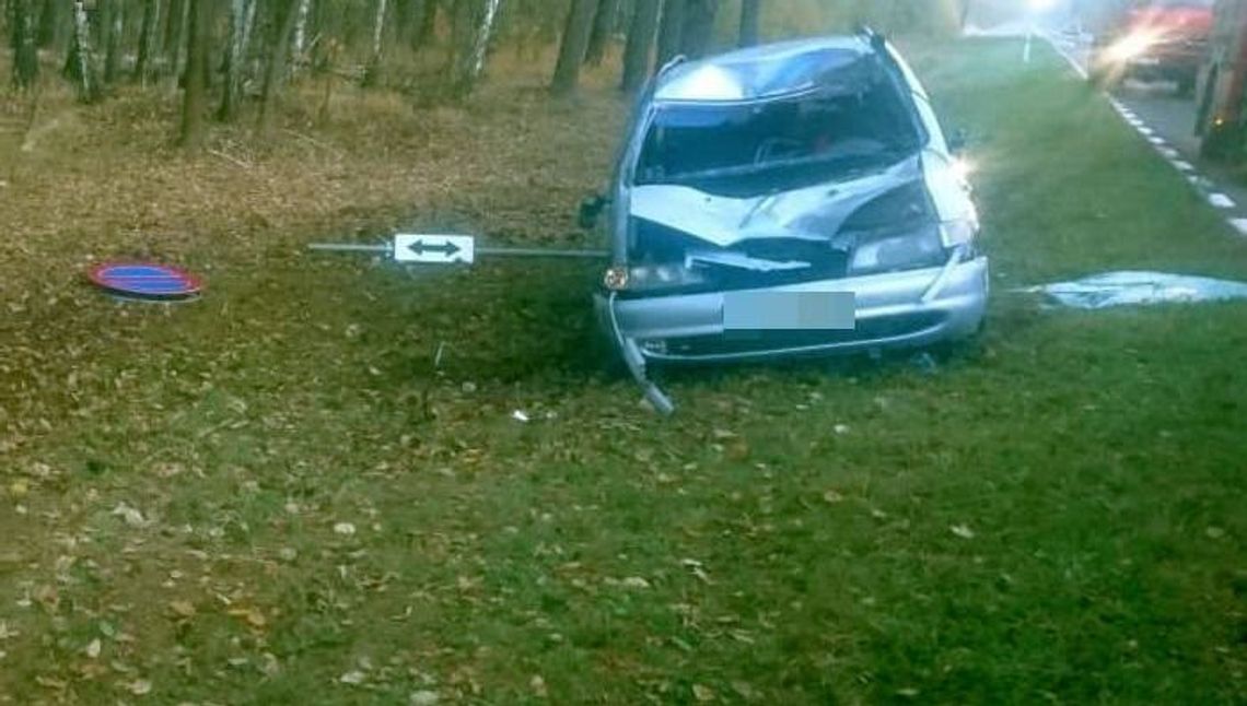 Osowo: Samochód zderzył się z łosiem, który nagle wybiegł na drogę