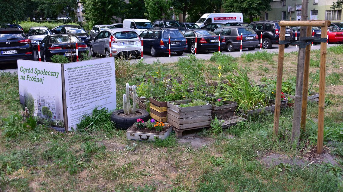 Ostatnia chwila na zgłoszenie swojego pomysłu ws. ogrodów społecznych