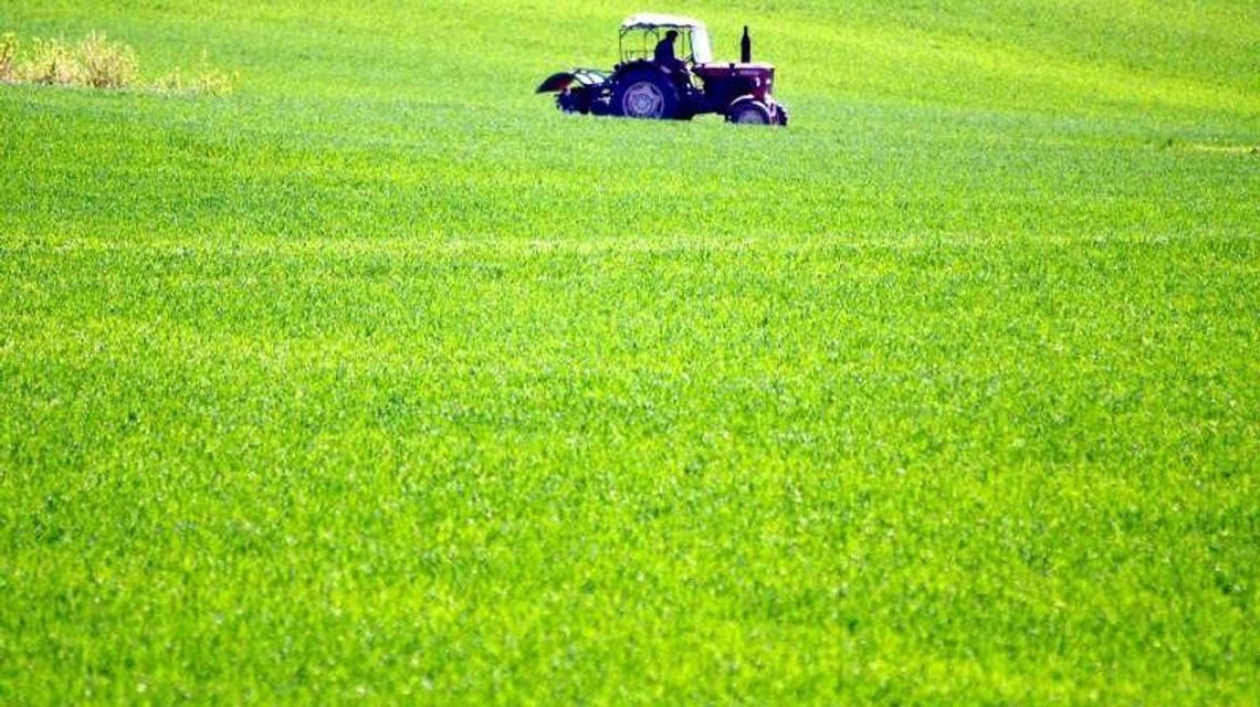 Ostatnia szansa, żeby sobie dorobić. Możesz zostać rachmistrzem Ostatnia szansa, żeby sobie dorobić. Możesz zostać rachmistrzem