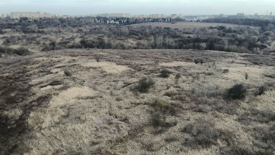 Ostatnie starcie przed referendum. Debata w sprawie górek czechowskich