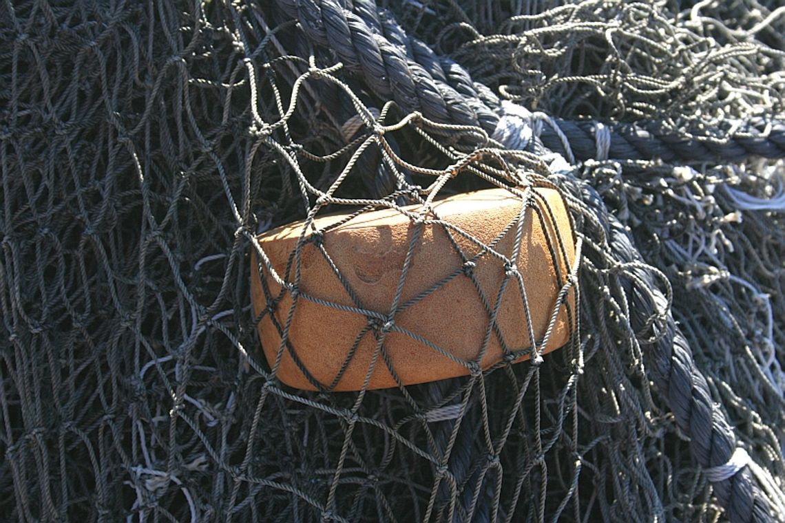 Ostrów (gm. Michów): Przyłapani na łapaniu ryb