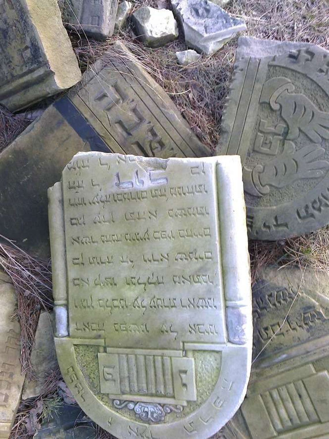 Ostrów Lubelski: Macewy czekają na ratunek