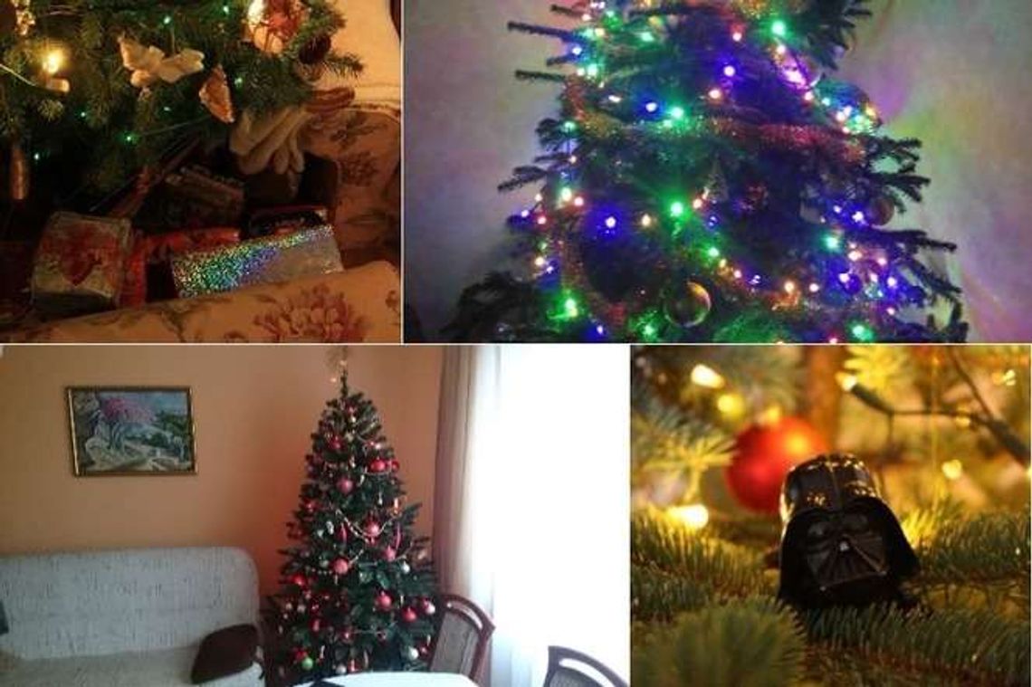 Oto Wasze choinki i ozdoby świąteczne! [zdjęcia]