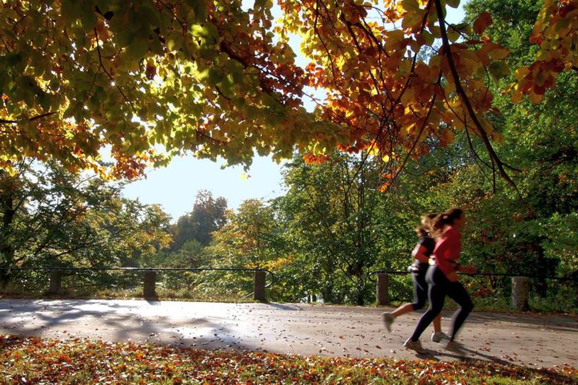 Otwarcie drogi w biegu