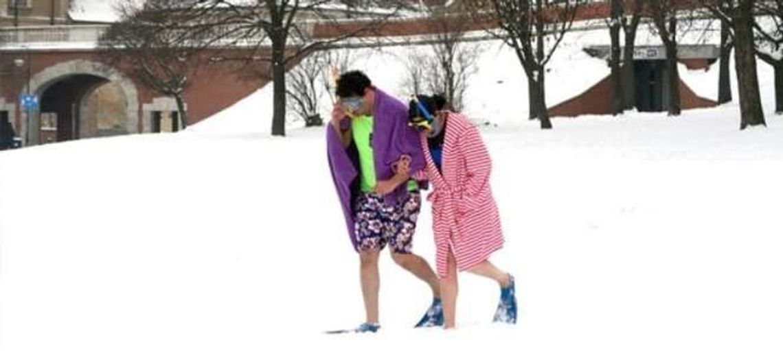 Otwarcie wystawy: Artificial Islands w Galerii Labirynt Plaza