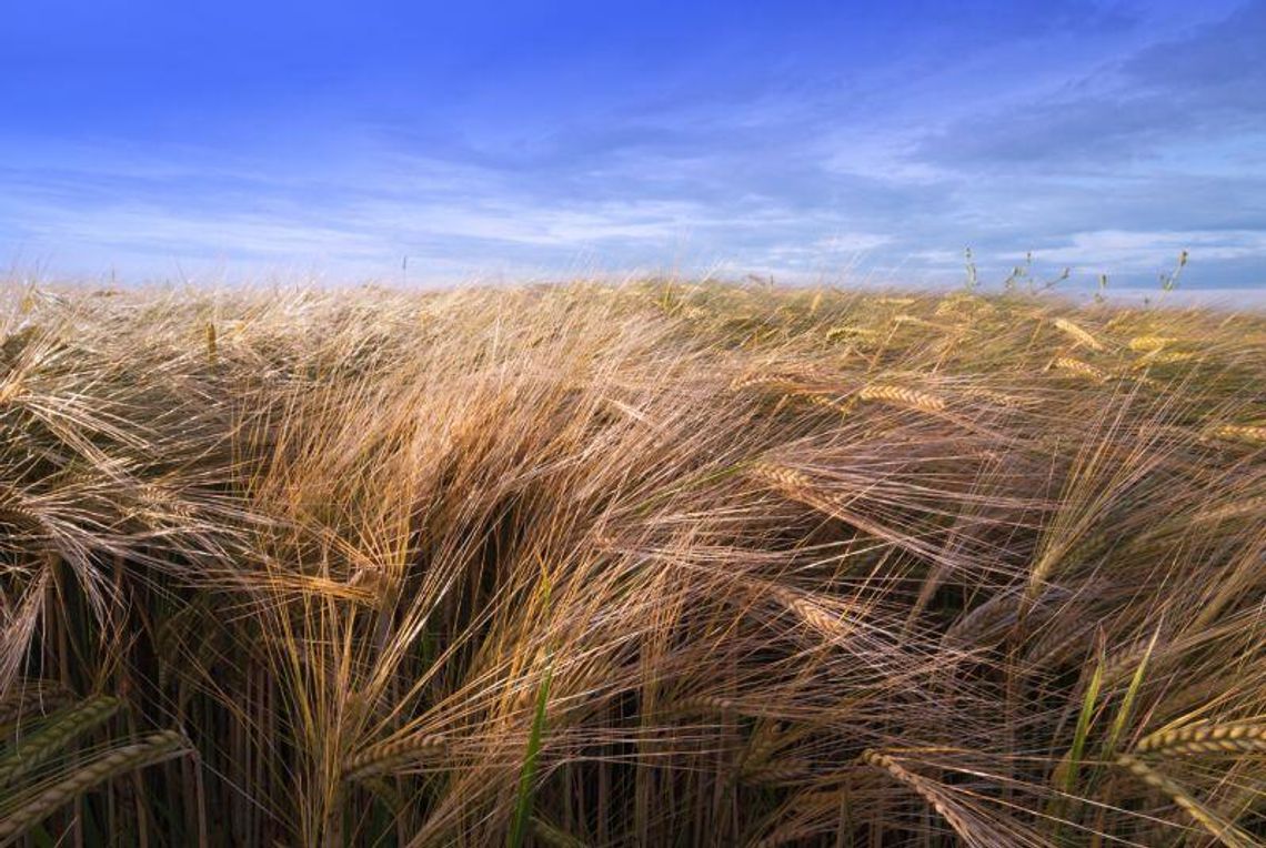 Otworzą drzwi w Końskowoli