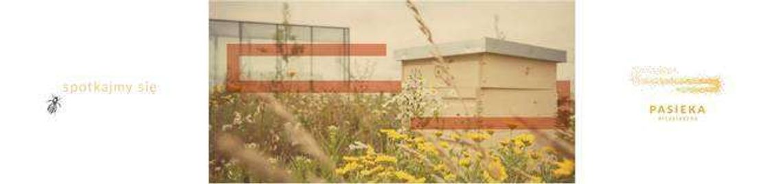 Otworzą pasiekę na dachu Centrum Spotkania Kultur Otworzą pasiekę na dachu Centrum Spotkania Kultur