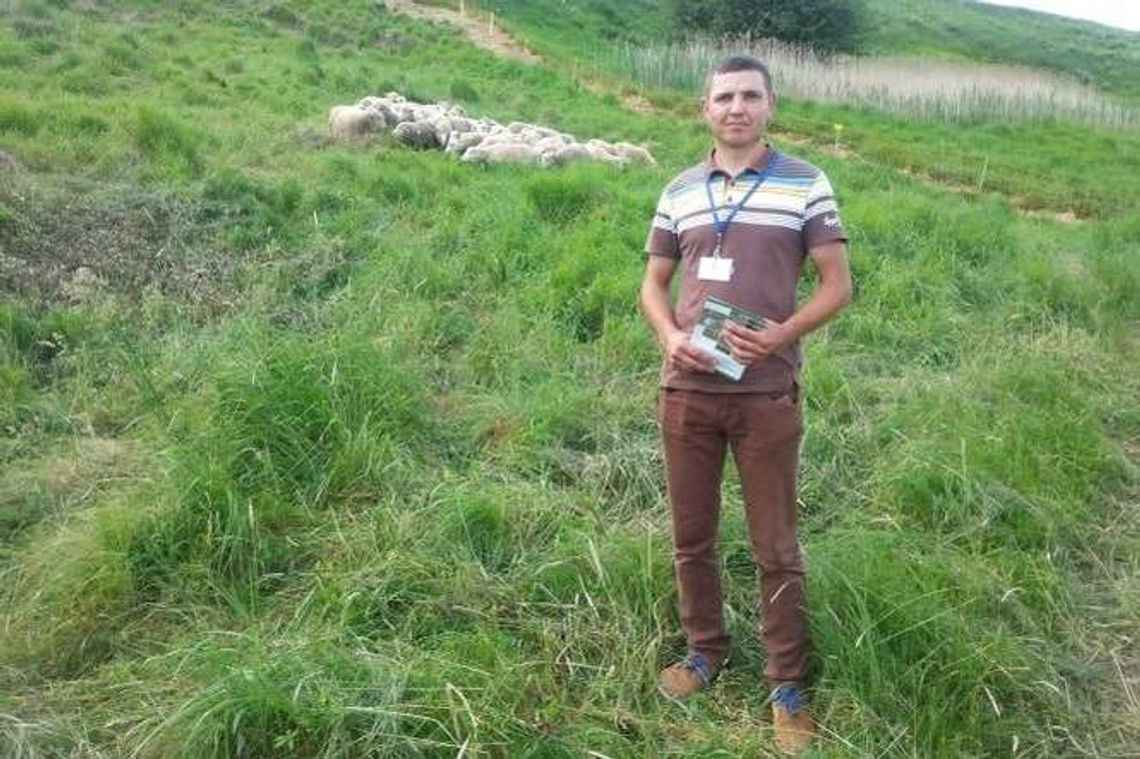 Owce w dolinie Bugu. To także atrakcja dla turystów. "Robią sobie z nimi zdjęcia" Owce w dolinie Bugu. To także atrakcja dla turystów. "Robią sobie z nimi zdjęcia"