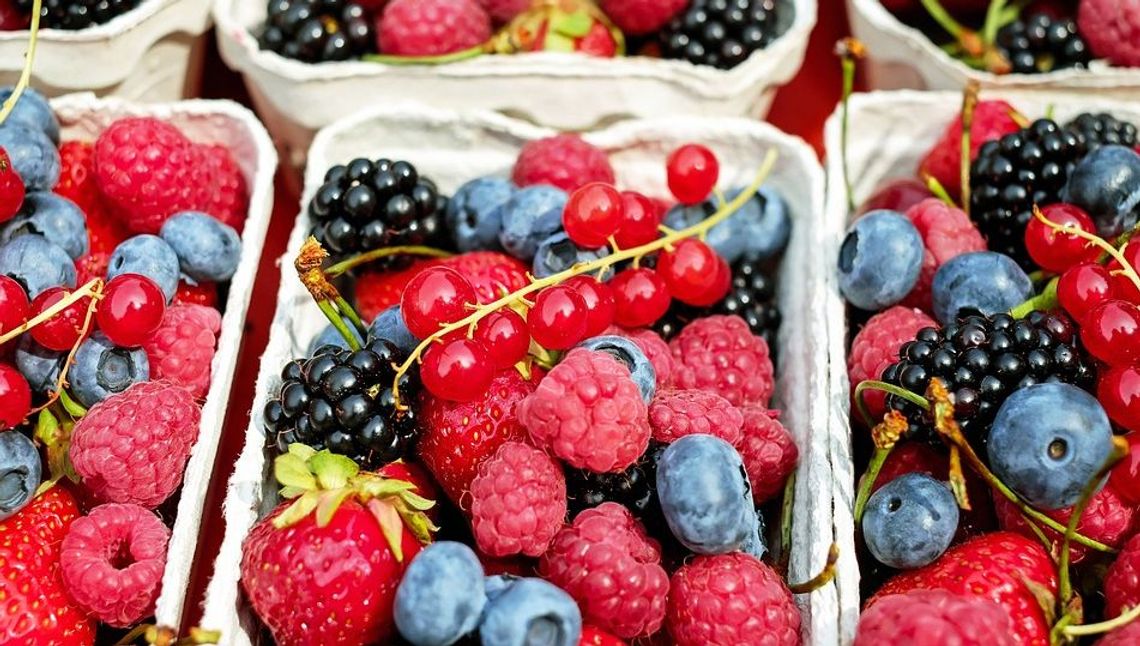 Owoce i warzywa dla wszystkich chętnych. Rolnicy i sadownicy zapraszają na zbiory