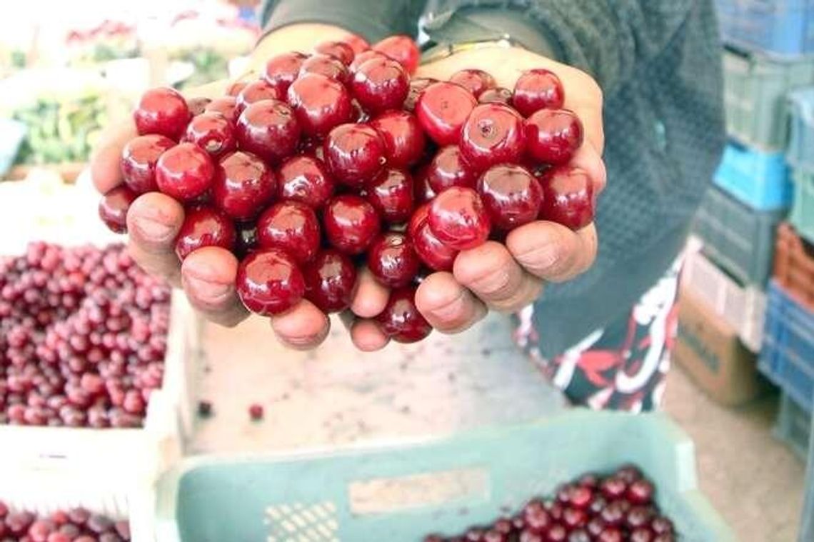 Owocowe smaki. Przepisy na zupy owocowe, pierogi z jagodami i inne dania