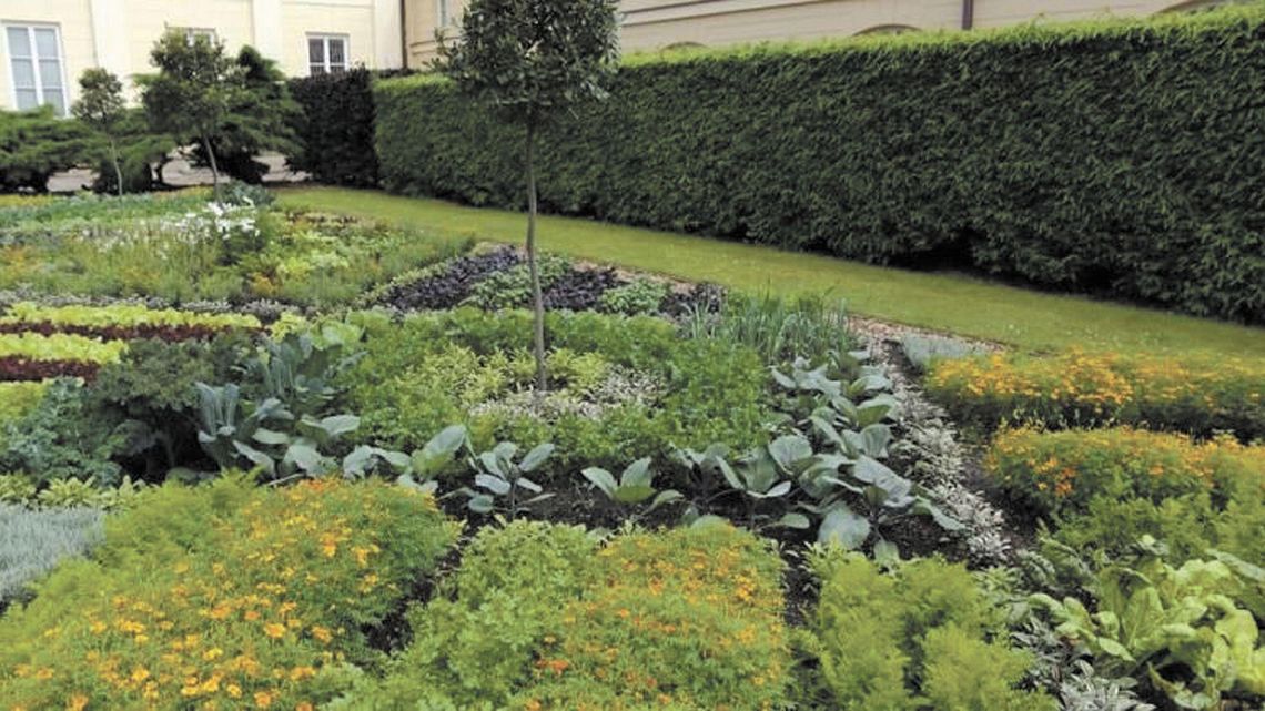 Ozdobny dywan z warzyw i ziół. Można go zjeść