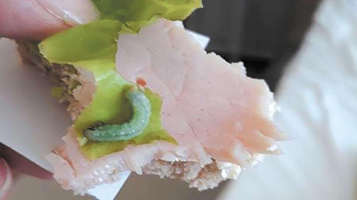 Pacjentka szpitala znalazła gąsienicę na sałacie. "Nikt nikomu nie chce wyrządzić krzywdy" Pacjentka szpitala znalazła gąsienicę na sałacie. "Nikt nikomu nie chce wyrządzić krzywdy"