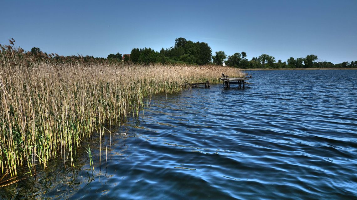 Padlina nad jeziorem Maśluchowskim?