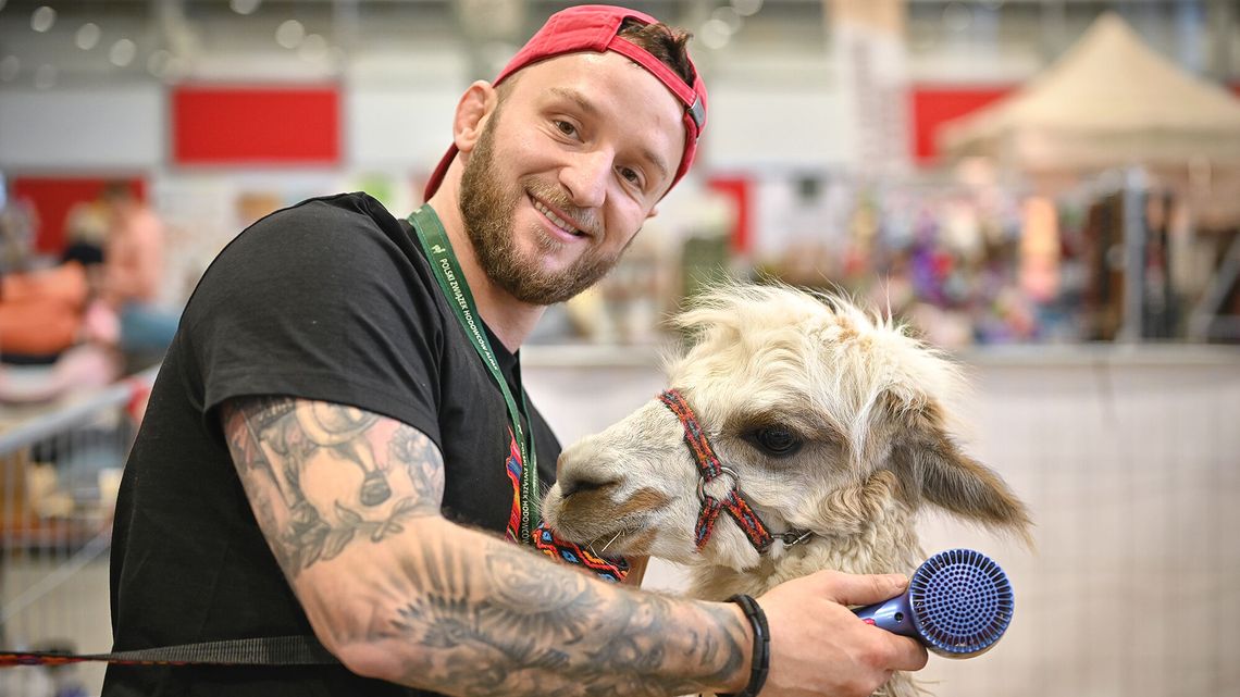 Pająk z Hondurasu za 70 zł, czyli jakiego wybiera się na początek. ZooPark w Lublinie