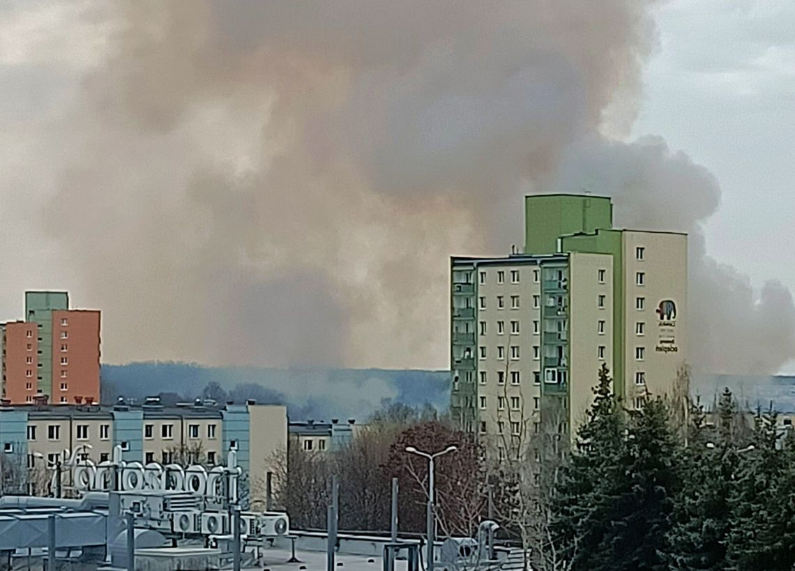 Palą się trawy za lubelskim osiedlem Widok