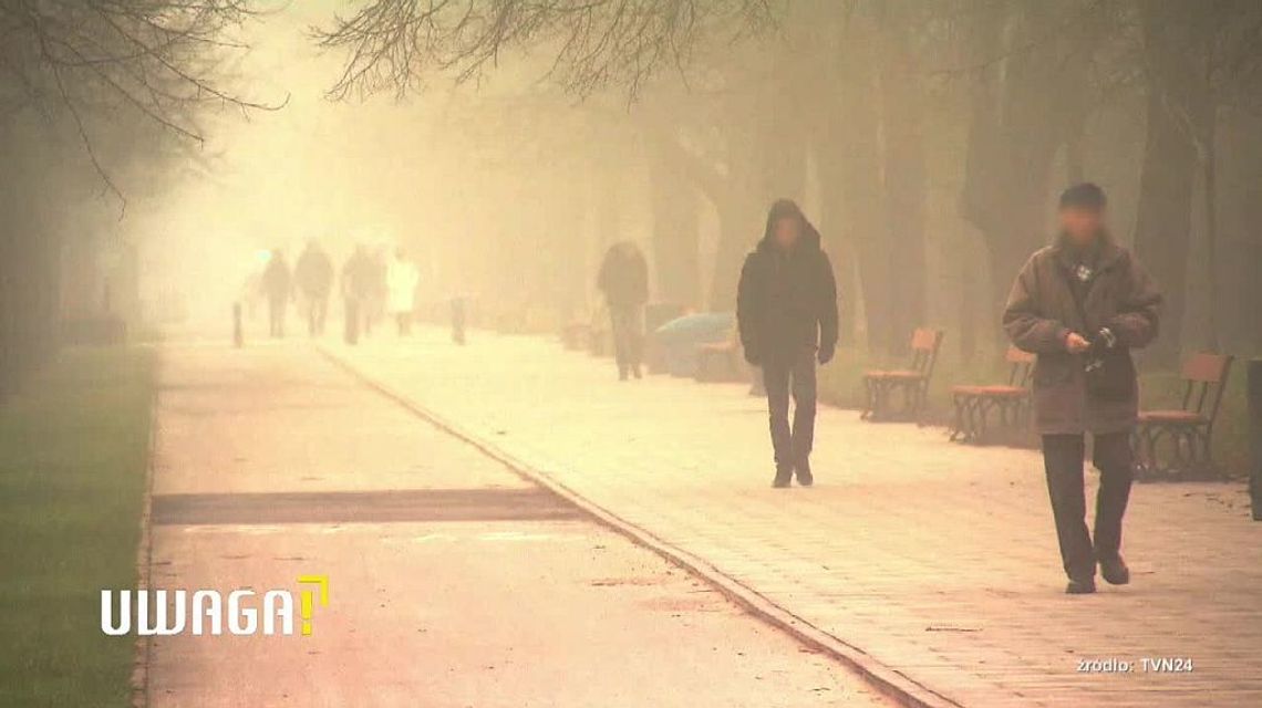 Palą śmieci, usuwają filtry. Skąd bierze się problem smogu?