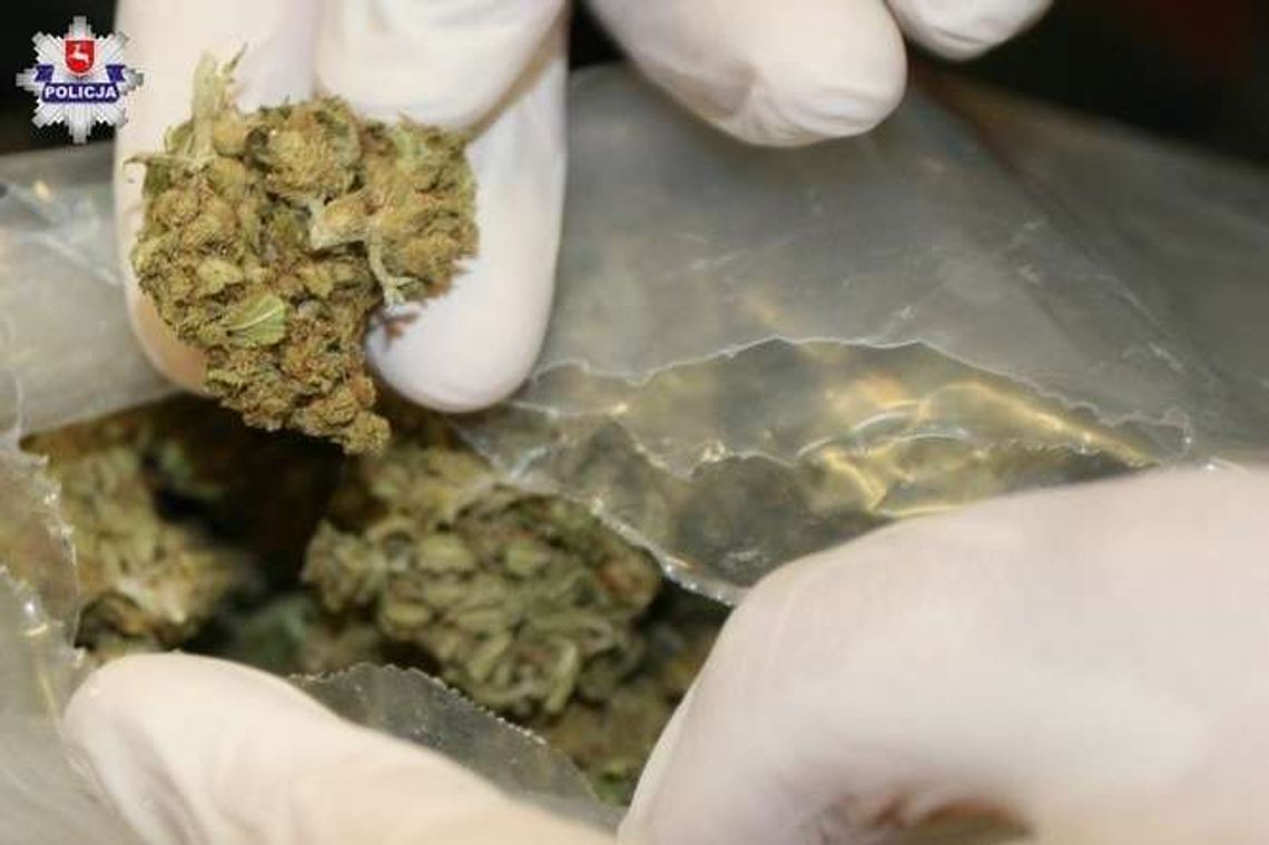 Palił dla relaksu i spokoju. Stracił swój krzak Palił dla relaksu i spokoju. Stracił swój krzak