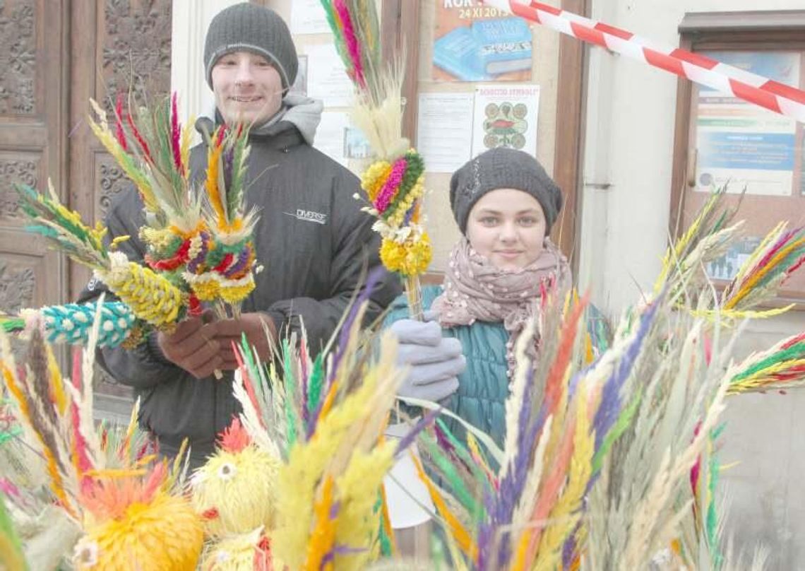 Palmy na Niedzielę Palmową już w sprzedaży Palmy na Niedzielę Palmową już w sprzedaży