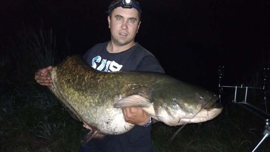 Pan Marek złowił 40-kilogramowego suma. "Radość i duże zaskoczenie"
