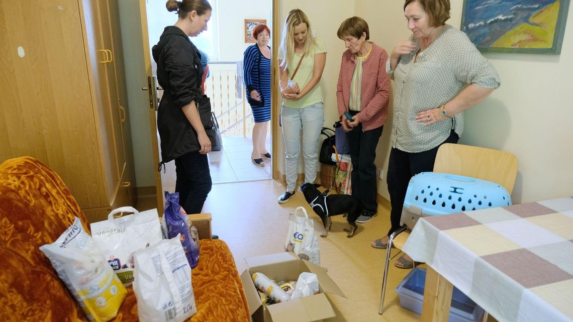 Pani Grażyna już w Betanii, zabrała ze sobą zwierzęta. "Już nie boję się o swoją przyszłość" Pani Grażyna już w Betanii, zabrała ze sobą zwierzęta. "Już nie boję się o swoją przyszłość"