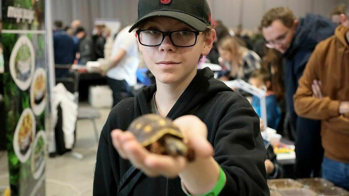 Pani Monika kupiła gekona. Pan Adam ma wymarzonego pająka