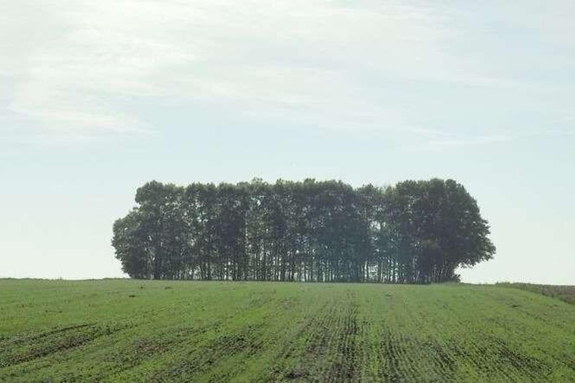 Państwo sięga po prywatny las. Teraz prawo pierwokupu ma leśniczy Państwo sięga po prywatny las. Teraz prawo pierwokupu ma leśniczy