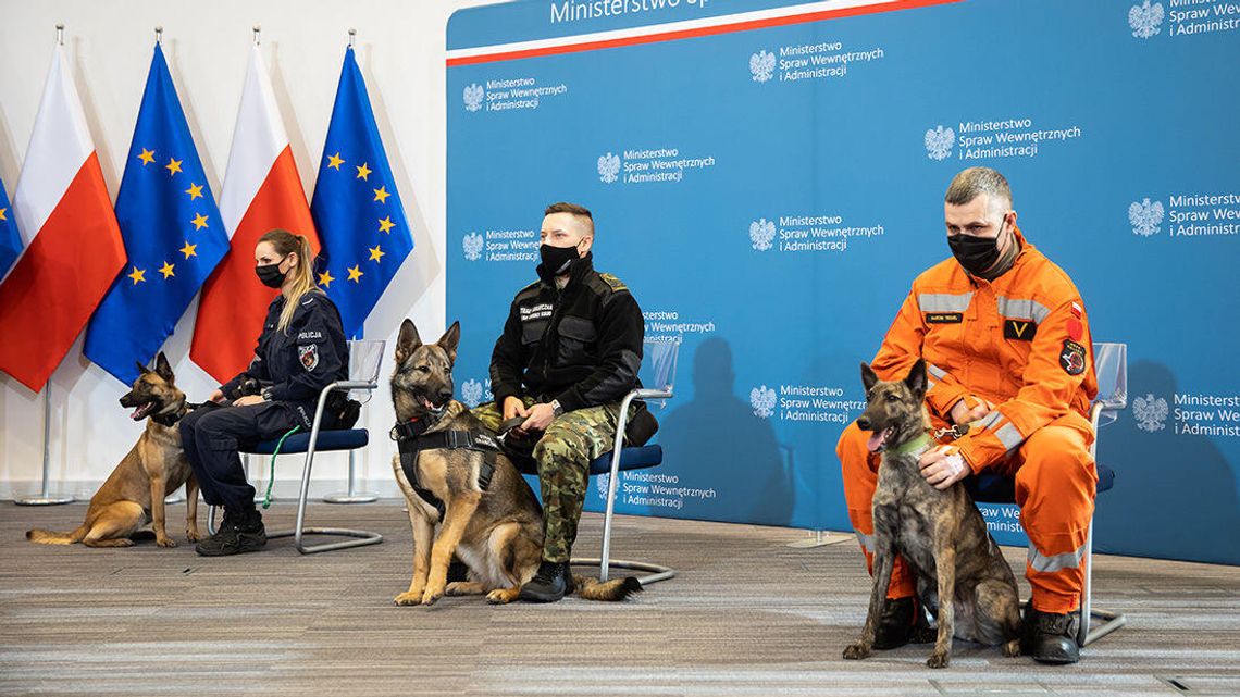 Państwo zajmie się mundurowymi emerytami na czterech łapach