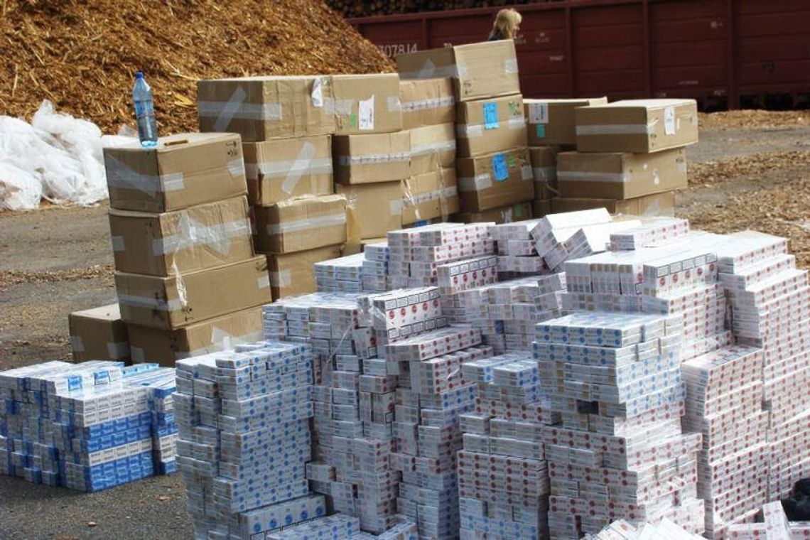 Papierosy warte 2 mln zł ukryte pod drewnem