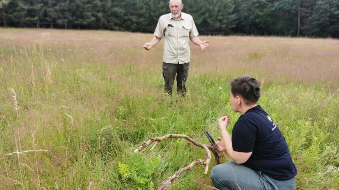 Paproć jakich mało. Pierwsza taka w RPN