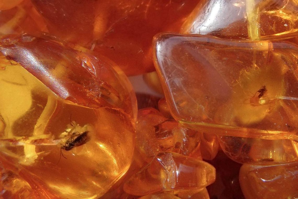 Parczew: Bursztynowe miasto