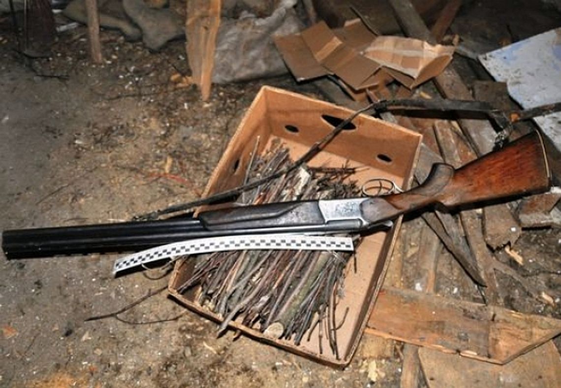 Parczew: Kłusownik trzymał w domu żywego dzika